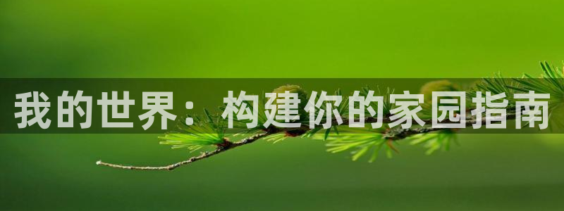 富联娱乐土67五壹叁八：我的世界：构建你的家园指南