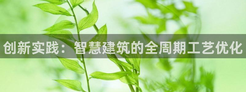 富联娱乐成拔7276O：创新实践：智慧建筑的全周期工艺优化