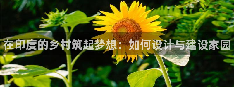 富联娱乐账号注册要钱吗：在印度的乡村筑起梦想：如何设计与建设家园