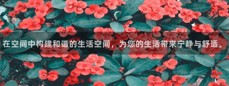 富联娱乐测速地址查询：在空间中构建和谐的生活空间，为您的生活带来宁静与舒适。