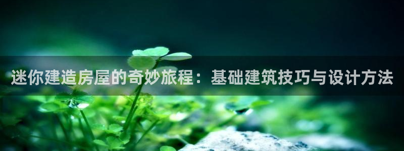 富联娱乐忘记账号：迷你建造房屋的奇妙旅程：基础建筑技巧与设计方法