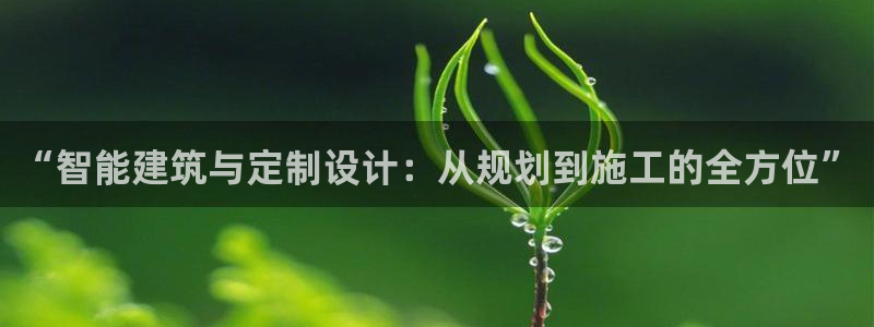 富联娱乐是什么公司：“智能建筑与定制设计：从规划到施工的全方位”