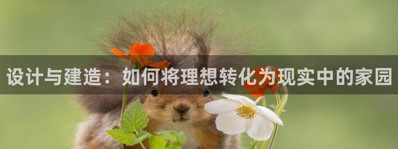 富联娱乐总代理是谁：设计与建造：如何将理想转化为现实中的家园