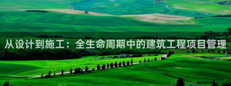 富联娱乐平台登录不了：从设计到施工：全生命周期中的建筑工程项目管理