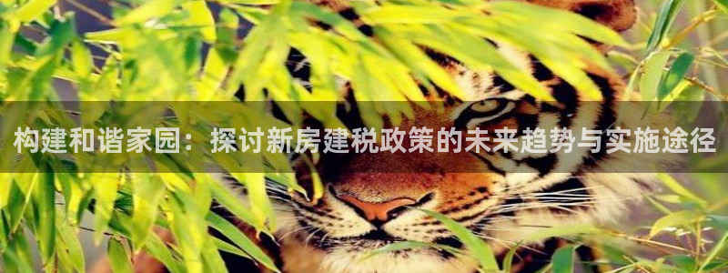 富联娱乐主管是谁呀图片：构建和谐家园：探讨新房建税政策的未来趋势与实施途径