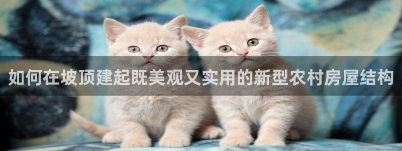 富联娱乐土67五壹叁八
