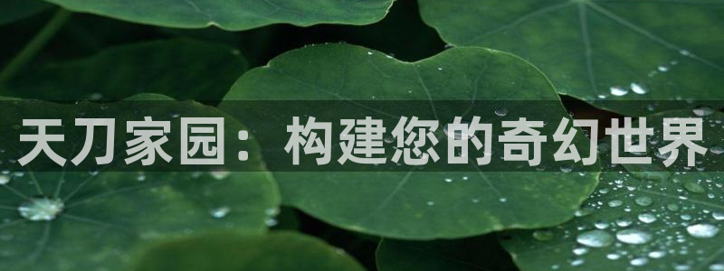 富联娱乐注册答唐老鸭779O3：天刀家园：构建您的奇幻世界