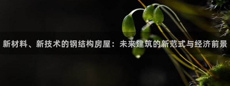 富联娱乐代理是谁的：新材料、新技术的钢结构房屋：未来建筑的新范式与经济前景