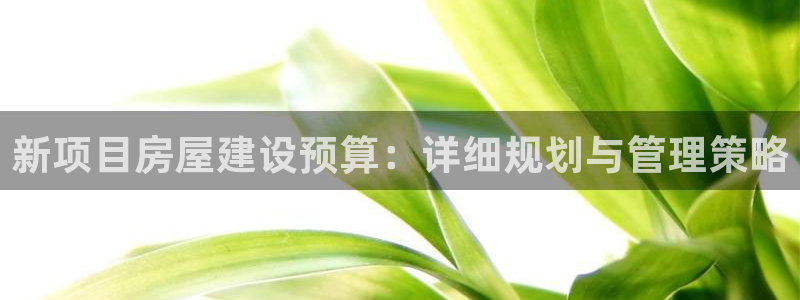 富联娱乐图7O777：新项目房屋建设预算：详细规划与管理策略