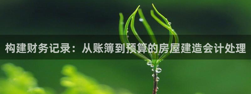 富联娱乐贴吧官网首页：构建财务记录：从账簿到预算的房屋建造会计处理