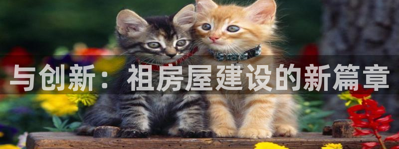 富联2娱乐元哥：与创新：祖房屋建设的新篇章