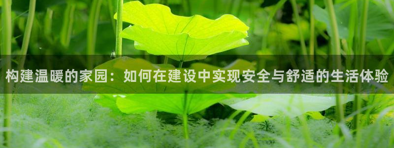 富联娱乐官方网站入口在线观看：构建温暖的家园：如何在建设中实现安全与舒适的生活体验