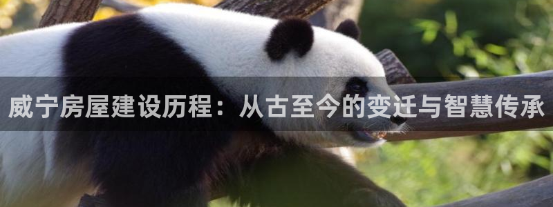 富联娱乐主管去判官333OO：威宁房屋建设历程：从古至今的变迁与智慧传承