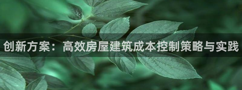 富联娱乐平台官网：创新方案：高效房屋建筑成本控制策略与实践