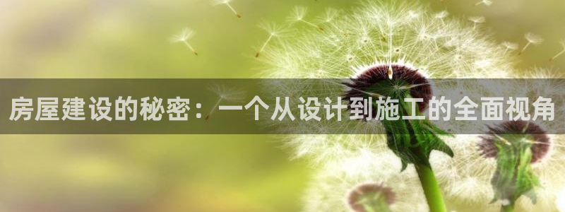 富联娱乐招商会判官333OO：房屋建设的秘密：一个从设计到施工的全面视角