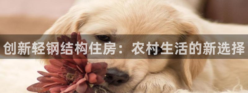 富联娱乐官网首页网址：创新轻钢结构住房：农村生活的新选择