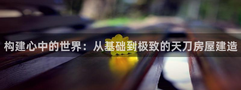 富联娱乐联37997筘：构建心中的世界：从基础到极致的天刀房屋建造