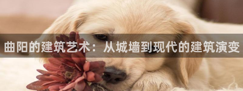 富联娱乐首页登录不了了：曲阳的建筑艺术：从城墙到现代的建筑演变