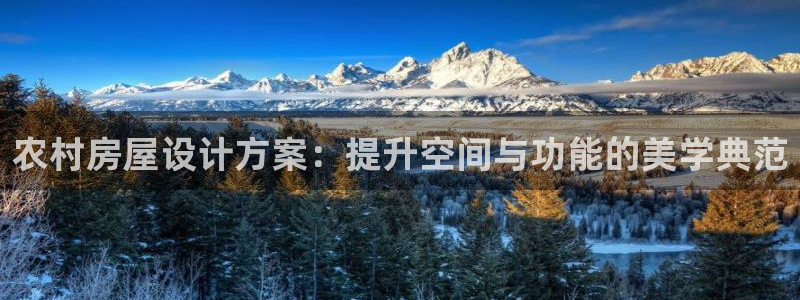 富联娱乐测速地址在哪：农村房屋设计方案：提升空间与功能的美学典范