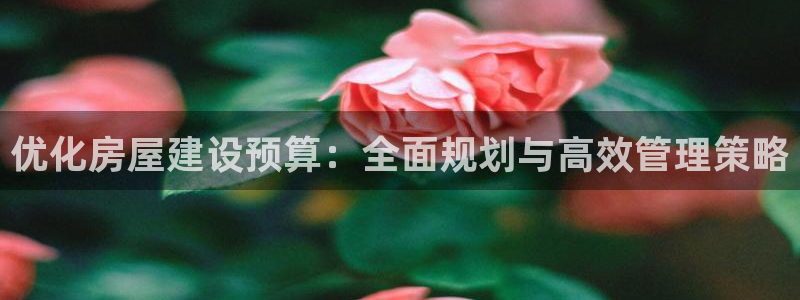 富联娱乐服务公司：优化房屋建设预算：全面规划与高效管理策略