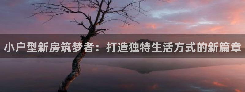 富联娱乐注册就判官333OO：小户型新房筑梦者：打造独特生活方式的新篇章