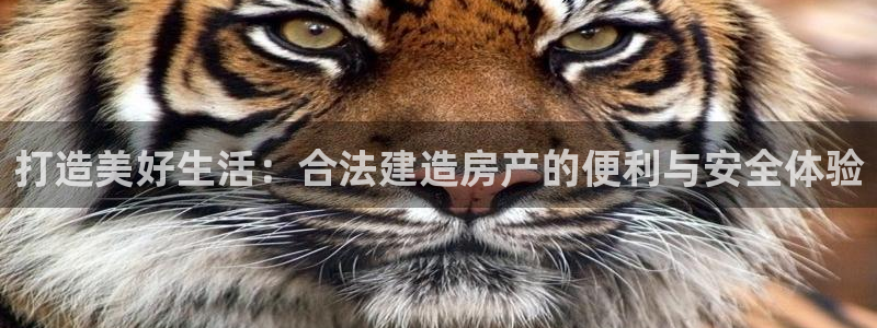 富联娱乐67零零六：打造美好生活：合法建造房产的便利与安全体验