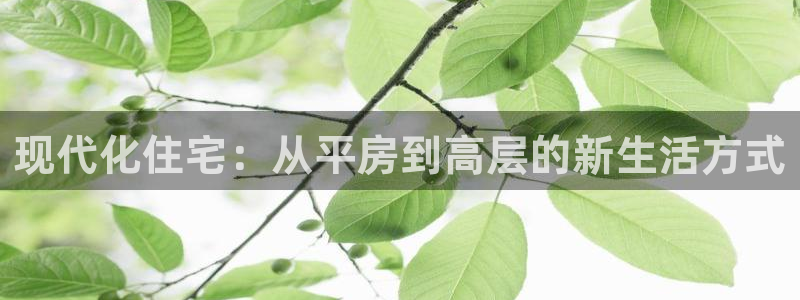 富联2娱乐首页官网网址：现代化住宅：从平房到高层的新生活方式