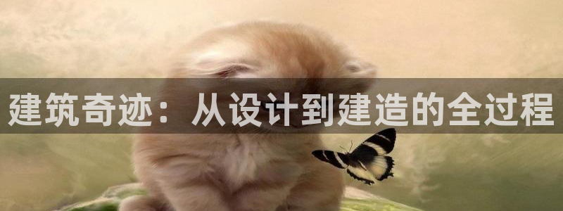 富联娱乐注册反判官333OO：建筑奇迹：从设计到建造的全过程