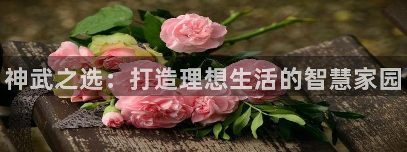 富联娱乐登录链接下载：神武之选：打造理想生活的智慧家园
