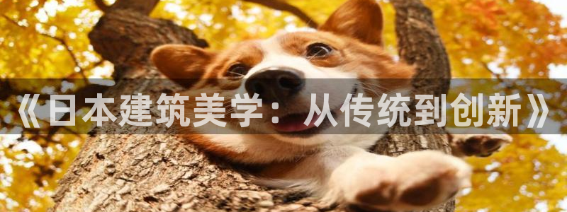 富联娱乐注册：《日本建筑美学：从传统到创新》