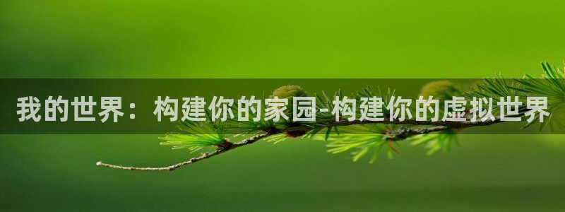 富联娱乐注册反判官333OO：我的世界：构建你的家园-构建你的虚拟世界