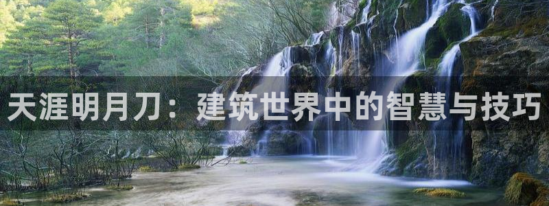 富联娱乐app官方下载：天涯明月刀：建筑世界中的智慧与技巧