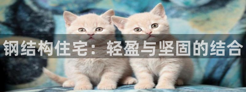 富联娱乐上级：钢结构住宅：轻盈与坚固的结合