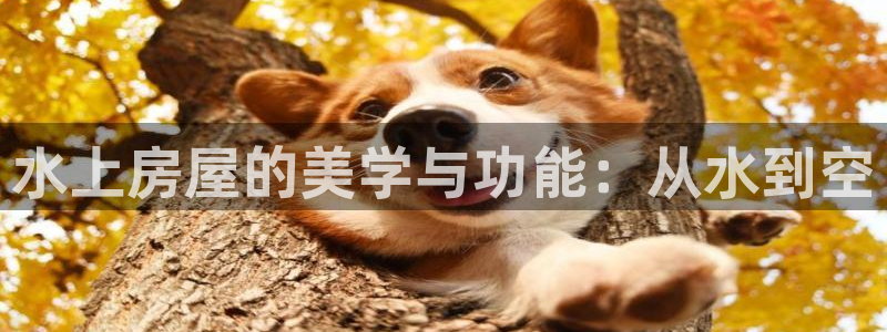 富联娱乐发展历程：水上房屋的美学与功能：从水到空