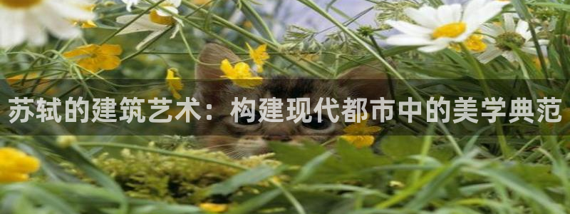 富联娱乐注册报判官333OO：苏轼的建筑艺术：构建现代都市中的美学典范