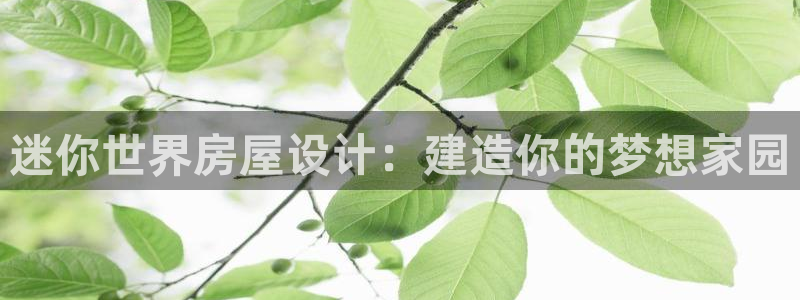 富联娱乐在线网站：迷你世界房屋设计：建造你的梦想家园