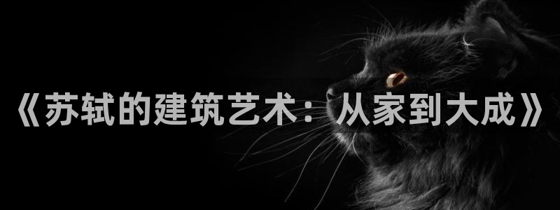 富联娱乐图7O777：《苏轼的建筑艺术：从家到大成》