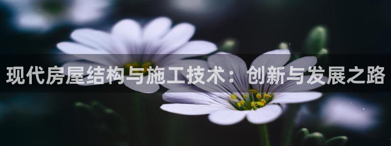 富联娱乐代理：现代房屋结构与施工技术：创新与发展之路