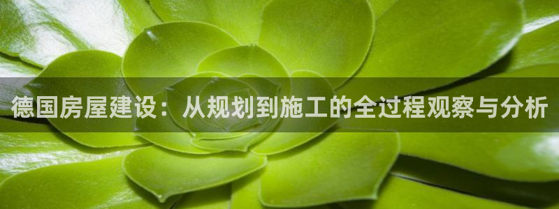 富联娱乐太究7276O：德国房屋建设：从规划到施工的全过程观察与分析