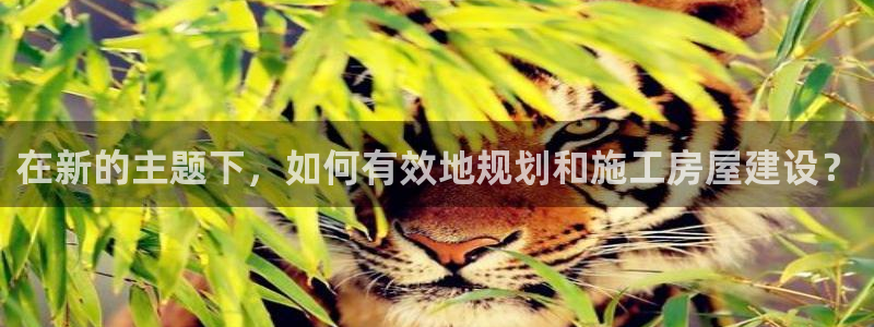 富联娱乐app官方下载：在新的主题下，如何有效地规划和施工房屋建设？