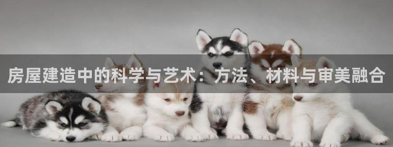 富联娱乐公司简介怎么写：房屋建造中的科学与艺术：方法、材料与审美融合