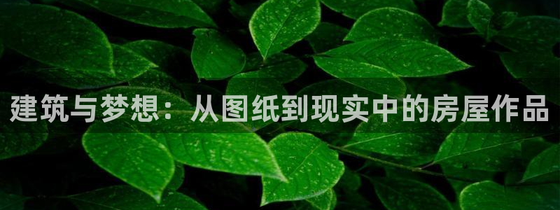 富联娱乐找37997筘：建筑与梦想：从图纸到现实中的房屋作品