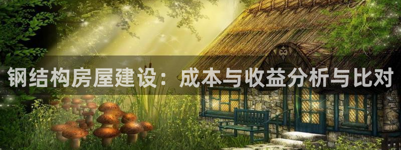 富联娱乐注册地址上海市：钢结构房屋建设：成本与收益分析与比对