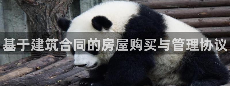 富联2娱乐平台注册：基于建筑合同的房屋购买与管理协议