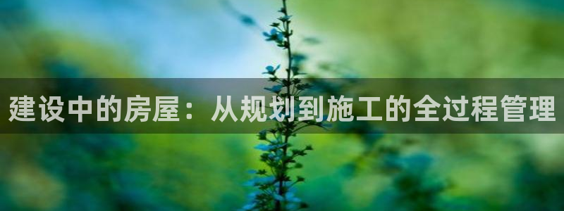 富联娱乐注册发判官333OO：建设中的房屋：从规划到施工的全过程管理