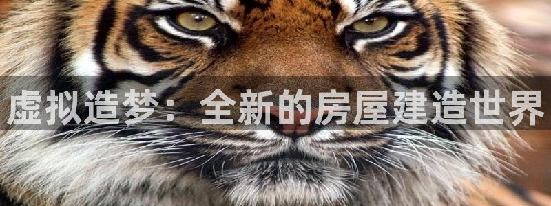 富联娱乐来956k.com靠谱：虚拟造梦：全新的房屋建造世界