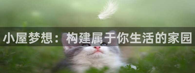 富联娱乐平台是什么平台：小屋梦想：构建属于你生活的家园