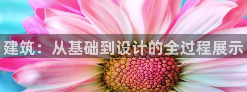 富联娱乐在线注册链接下载安装：建筑：从基础到设计的全过程展示