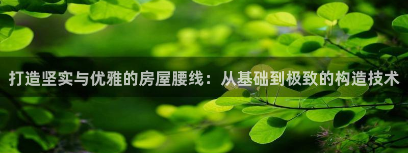 富联娱乐招商监判官333OO：打造坚实与优雅的房屋腰线：从基础到极致的构造技术