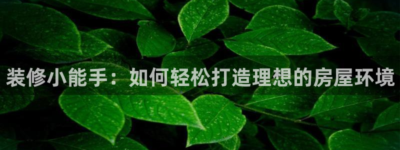 富联娱乐注册：装修小能手：如何轻松打造理想的房屋环境